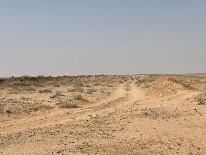 Property #7318061