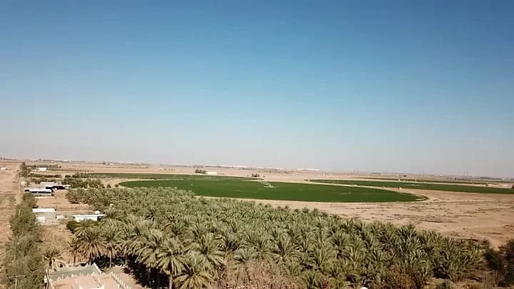 Property #1793243