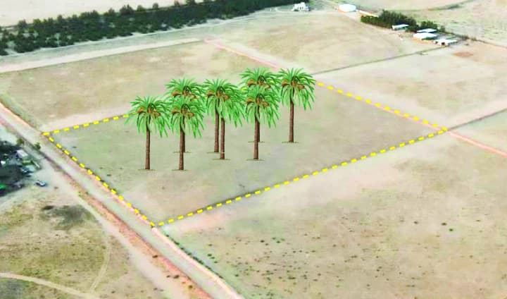 Property #5747292